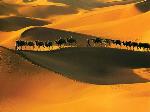 甘肃西部沙漠 Desert in West of Ganshu